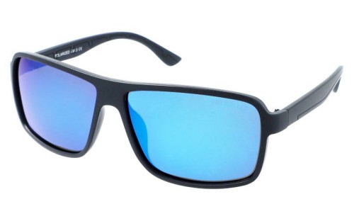 Polarzone 875-10 skos.jpg