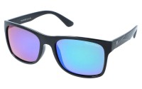 PolarZone 885-11 z etui