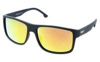 PolarZone 934-8 z etui