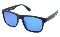 PolarZone 938-10 z etui
