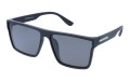 Polarzone 940-1M skos.jpg