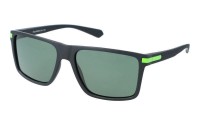 PolarZone 995-11 z etui