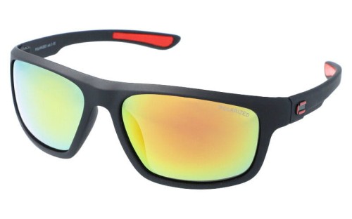 Polarzone 452-8 skos.jpg