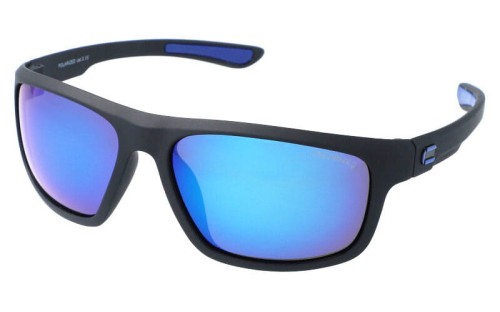 Polarzone 452-10 skos.jpg