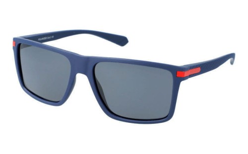 Polarzone 995-10 skos.jpg