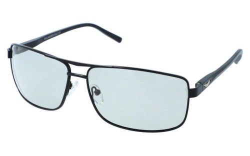 Polarzone FP359-1 skos.jpg