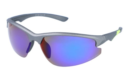 Speed polarized 176-11 skos.jpg
