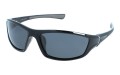 Speed polarized 139-3 skos.jpg
