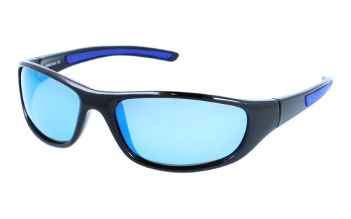 Speed polarized 136L-10 skos.jpg