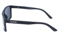 Revers polarized 43-1M bok.jpg