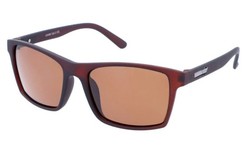 Revers polarized 43-2 skos.jpg