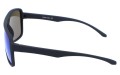 Revers polarized 39-10 bok.jpg