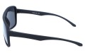 Revers polarized 38-1M bok.jpg
