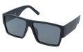 Revers polarized 37-1M skos.jpg