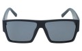 Revers polarized 37-1M przód.jpg