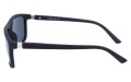 Revers polarized 33-1M bok.jpg
