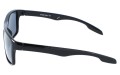 Revers polarized 31-1 bok.jpg