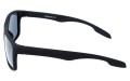 Revers polarized 31-1M bok.jpg