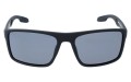 Revers polarized 31-1M przód.jpg
