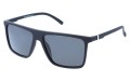 Revers polarized 26-1M skos.jpg