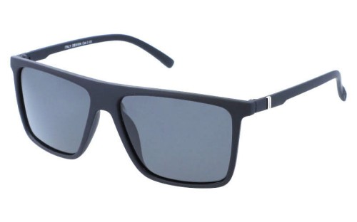 Revers polarized 26-1M skos.jpg