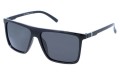 Revers polarized 26-1 skos.jpg