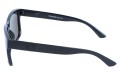 Revers polarized 21-11 bok.jpg