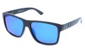 Revers polarized 21-10 skos.jpg