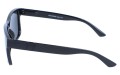 Revers polarized 20-1 bok.jpg