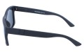 Revers polarized 20-1M bok.jpg