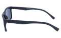 Revers polarized 19-1 bok.jpg