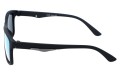 Revers polarized 16-8 bok.jpg