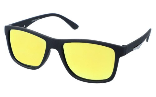 Revers polarized 16-8 skos.jpg