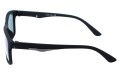 Revers polarized 16-11 bok.jpg