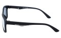 Revers polarized 15-1M bok.jpg