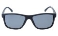 Revers polarized 15-1M przód.jpg