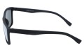 Revers polarized 12-4 bok.jpg