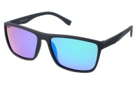 Revers Polarized 12-11