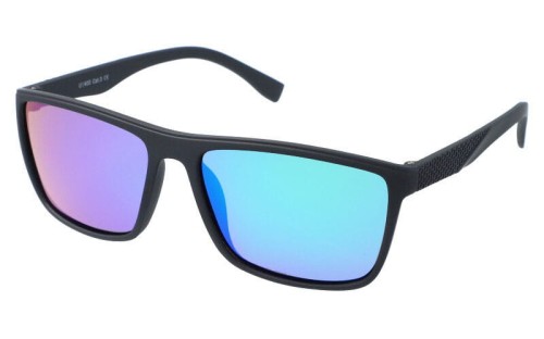 Revers polarized 12-11 skos.jpg