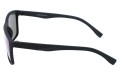 Revers polarized 12-11 bok.jpg