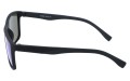 Revers polarized 12-10 bok.jpg