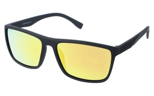 Revers polarized 12-8 skos.jpg