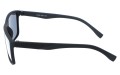 Revers polarized 12-8 bok.jpg