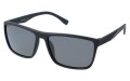 Revers polarized 12-1 skos.jpg