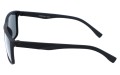 Revers polarized 12-1 bok.jpg