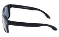 Revers polarized 07-1 bok.jpg