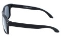 Revers polarized 07-1M bok.jpg