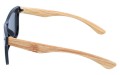 Revers polarized 06-4 bok.jpg