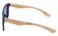 Revers polarized 06-1 bok.jpg