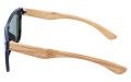 Revers polarized 06-10 bok.jpg